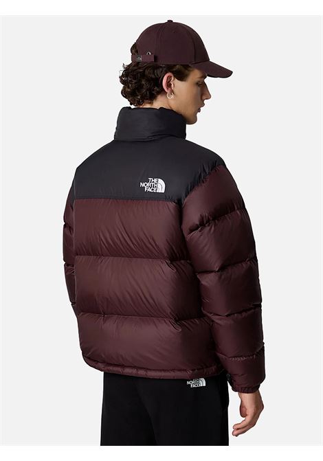 Giubbotto retro nuptse The North Face THE NORTH FACE | Giubbotti | NF0A3C8DLOS1